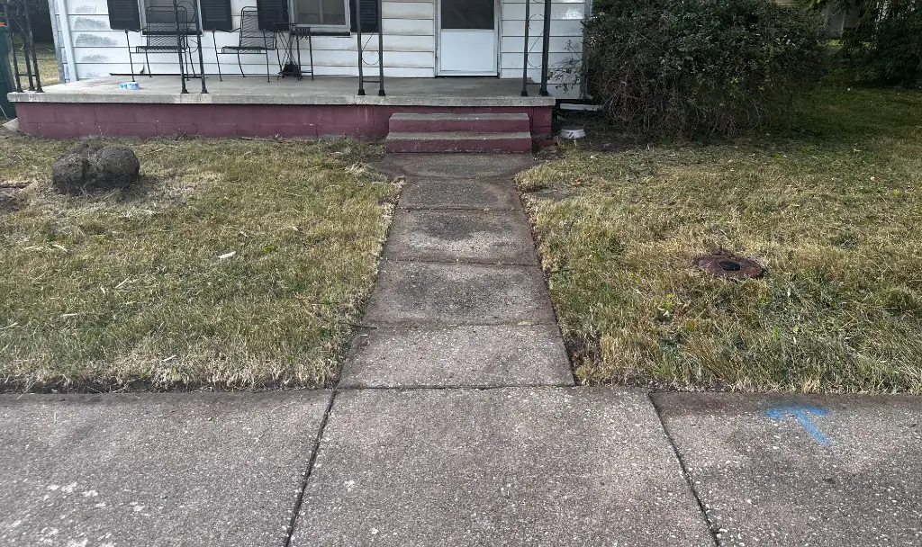 After: the same walk cleared and the lawn cut back.