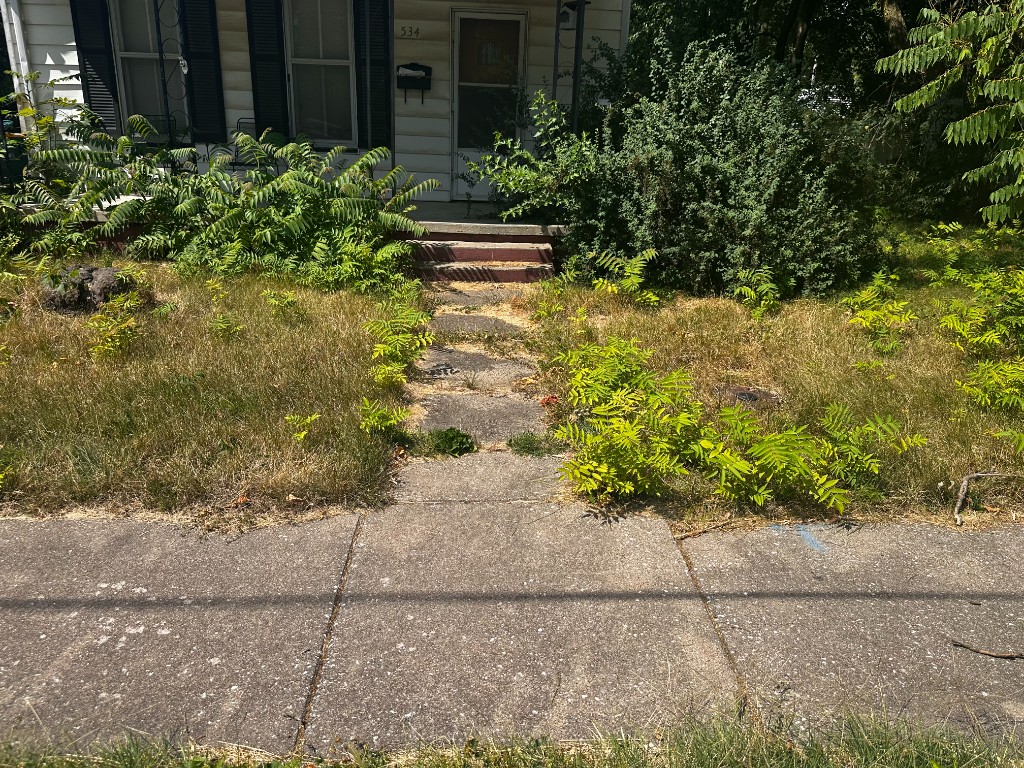Before: overgrown front yard with ferns and weeds blocking the walkway at a Macomb, IL property